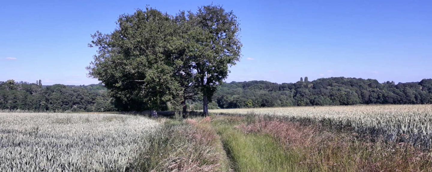 De la vallée de la Seine à la vallée de l'Eure