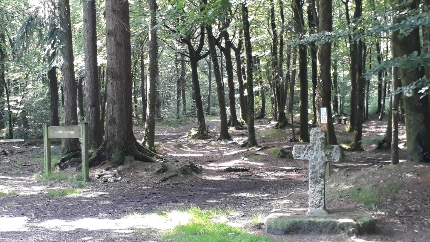 Saint-Guillaume - Circuit N° 24 : Forêt de Loudéac