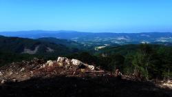Vue sur le massif des Bois Noirs