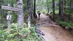 Massif des Bois Noirs, le petit Besbre