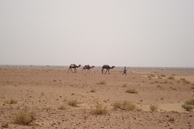 Portes du désert : Tagounite - Erg Lihoudi (dune du juif)