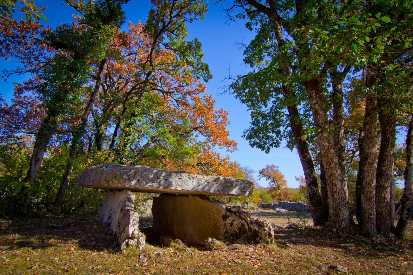 Assier - A la découverte du causse des dolmens