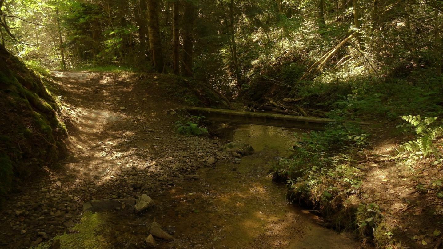 Bois de Meil, mines de Corent et la Sauveté