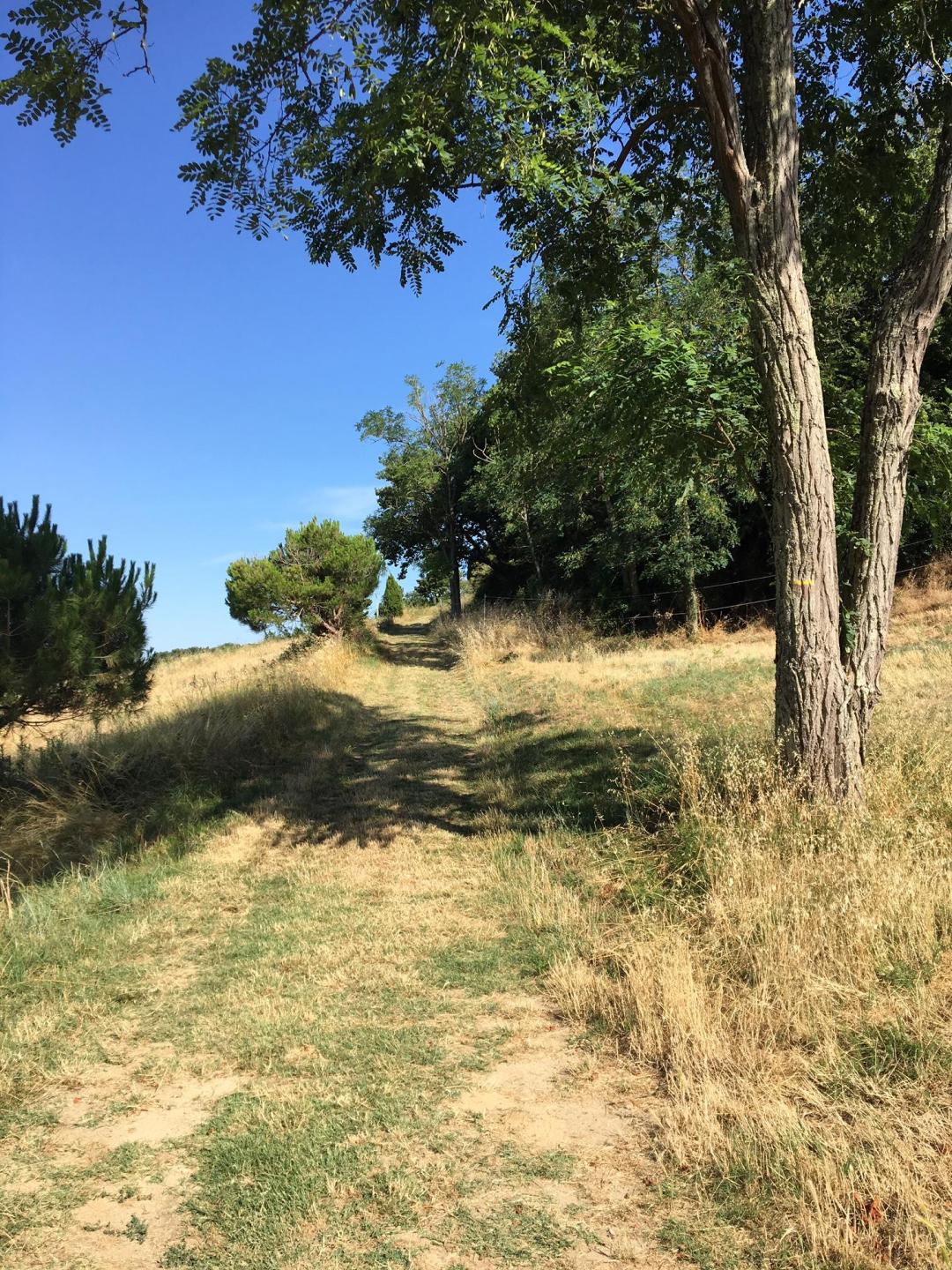 Les coteaux de Lisle
