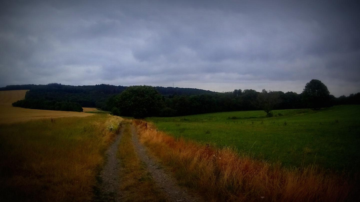 Autour de Bioul