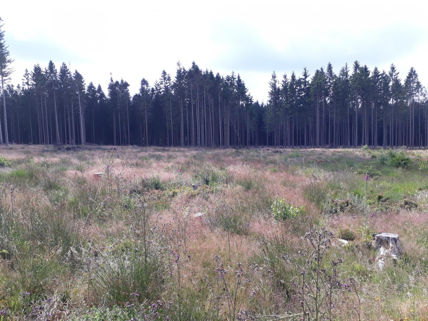 Photo circuit VTT