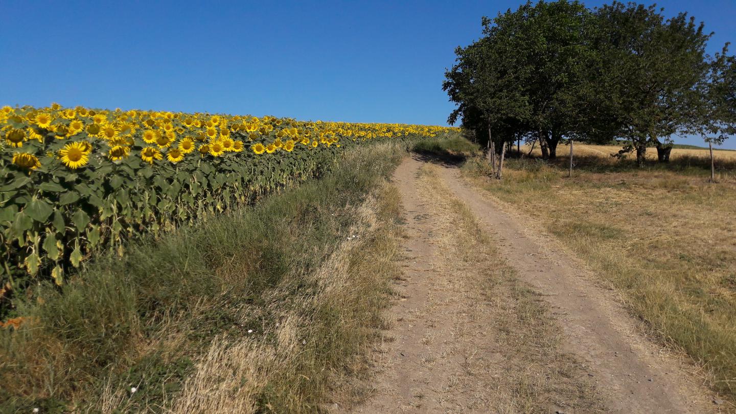 Sur les deux rives de l'Allier