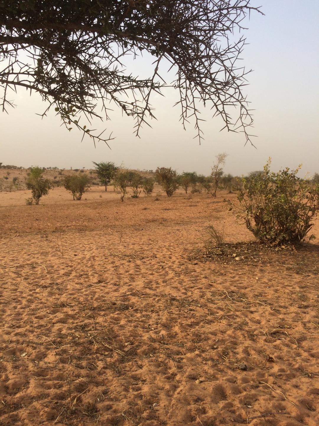 Nouakchott - Dakar - 3ème partie