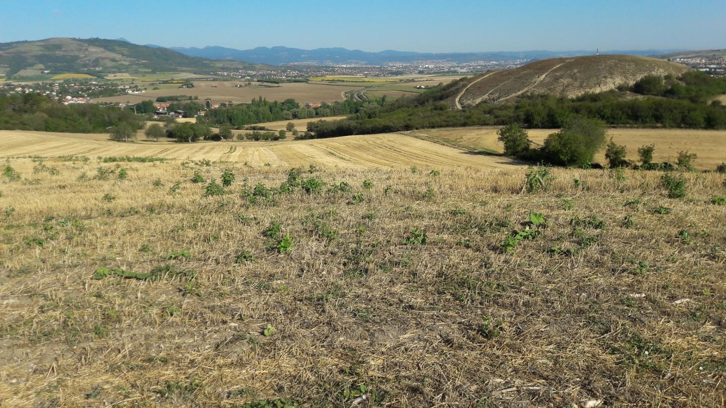 Autour du Puy de Saint-Romain par Busséol