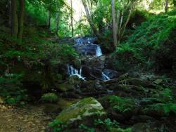 Cascade