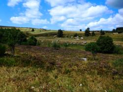 Accès aux Hautes Chaumes du Forez