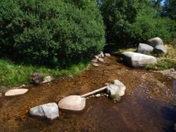 Ruisseau des Planches