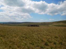 Paysages des Hautes Chaumes du Forez