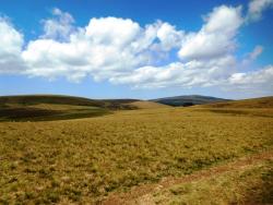 Paysages des Hautes Chaumes du Forez