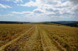 Paysages des Hautes Chaumes du Forez, randonneurs