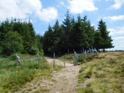 Sortie des Hautes Chaumes du Forez, barrière
