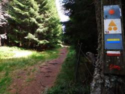 Vers la Roche Bazanne