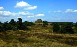 Paysages des Hautes Chaumes du Forez, Grande Pierre Bazanne, 1390 m 
