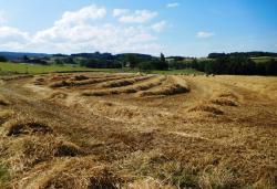 Les moissons