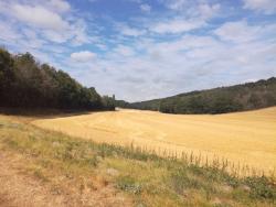 Vallée d'Etampes