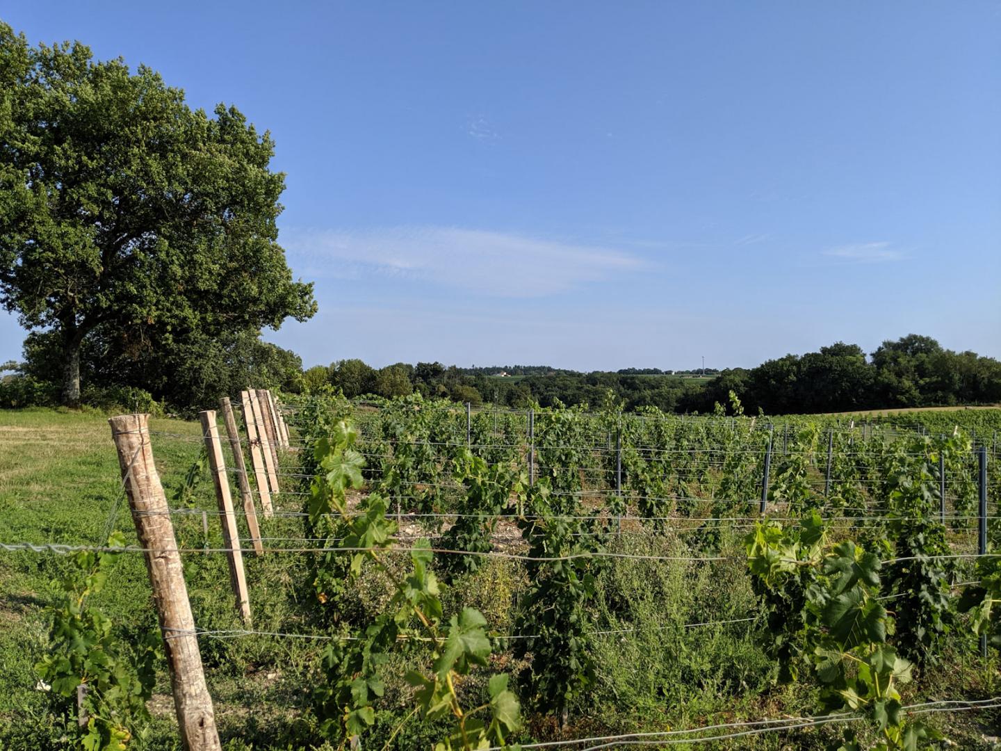 Circuit au nord-ouest de Libourne