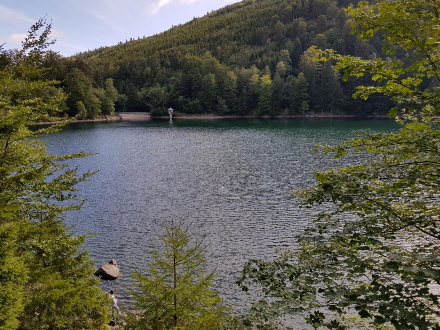 Espace VTT-FFC de la région de Guebwiller - N° 6 - Circuit du Glashutte