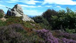 Plateau de la Verrerie, le Roc du Vacher