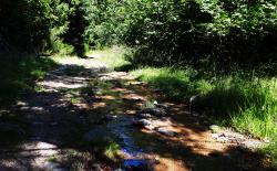 Chemin-ruisseau vers Fouet Haut