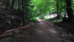 Sur le GR 3A