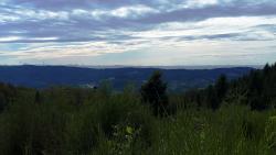 Vue sur les Bois Noirs, les éoliennes de Lavoine et la chaine des Puys d'Auvergne