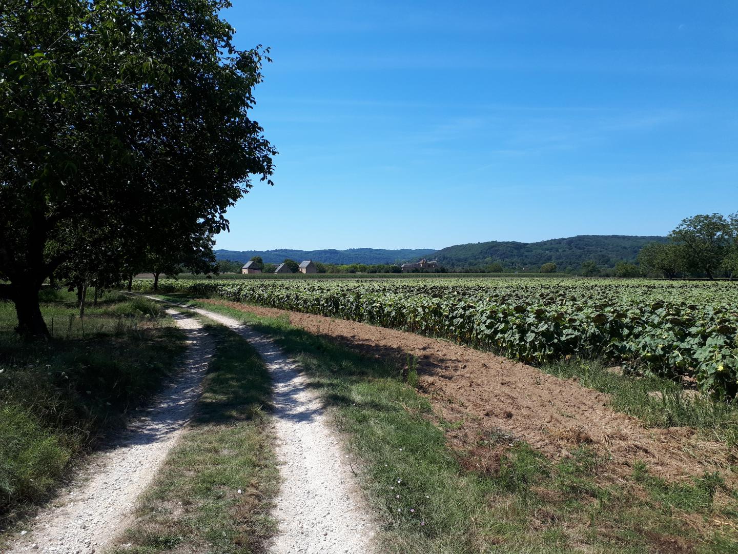 Vitrac : Châteaux - Rivière - Singles