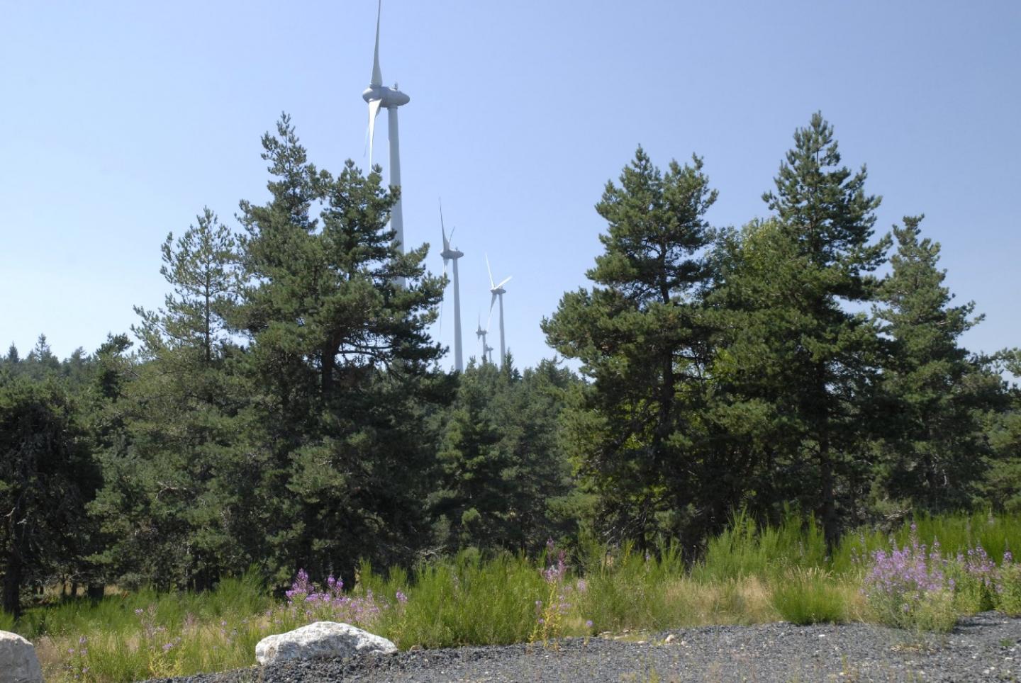 Le Mont - Parcs éoliens