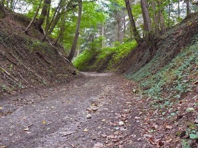 Rando d'Aulnois-sous-Laon 2008 - 63 km