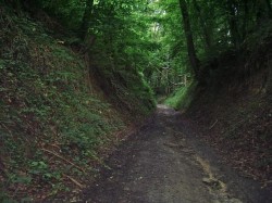 Crépy