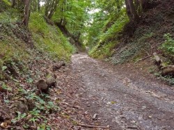 Crépy