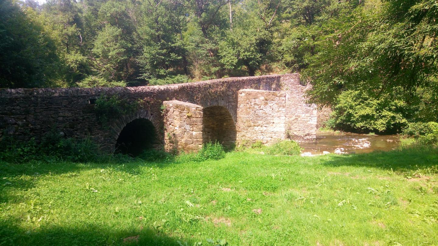 Le long de l'Aveyron -  Druelle