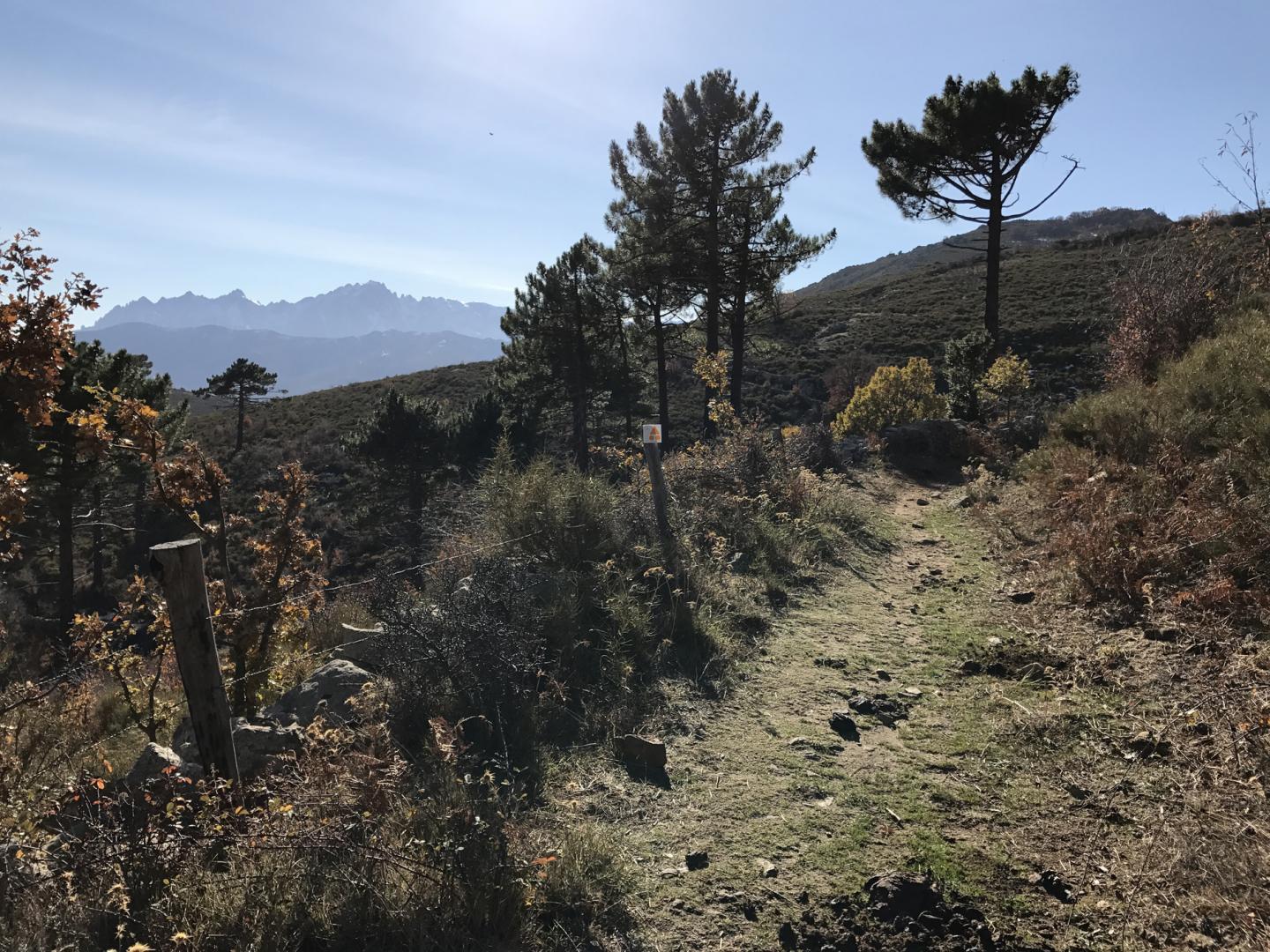 Site VTT de Balagne - Circuit N°10 : Maltiola