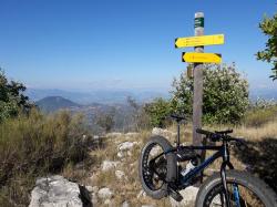 VTT-16812