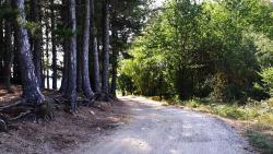 Chemin