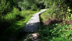 Le Pont Astier, camping