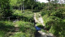 Petit gué et passerelle de fortune