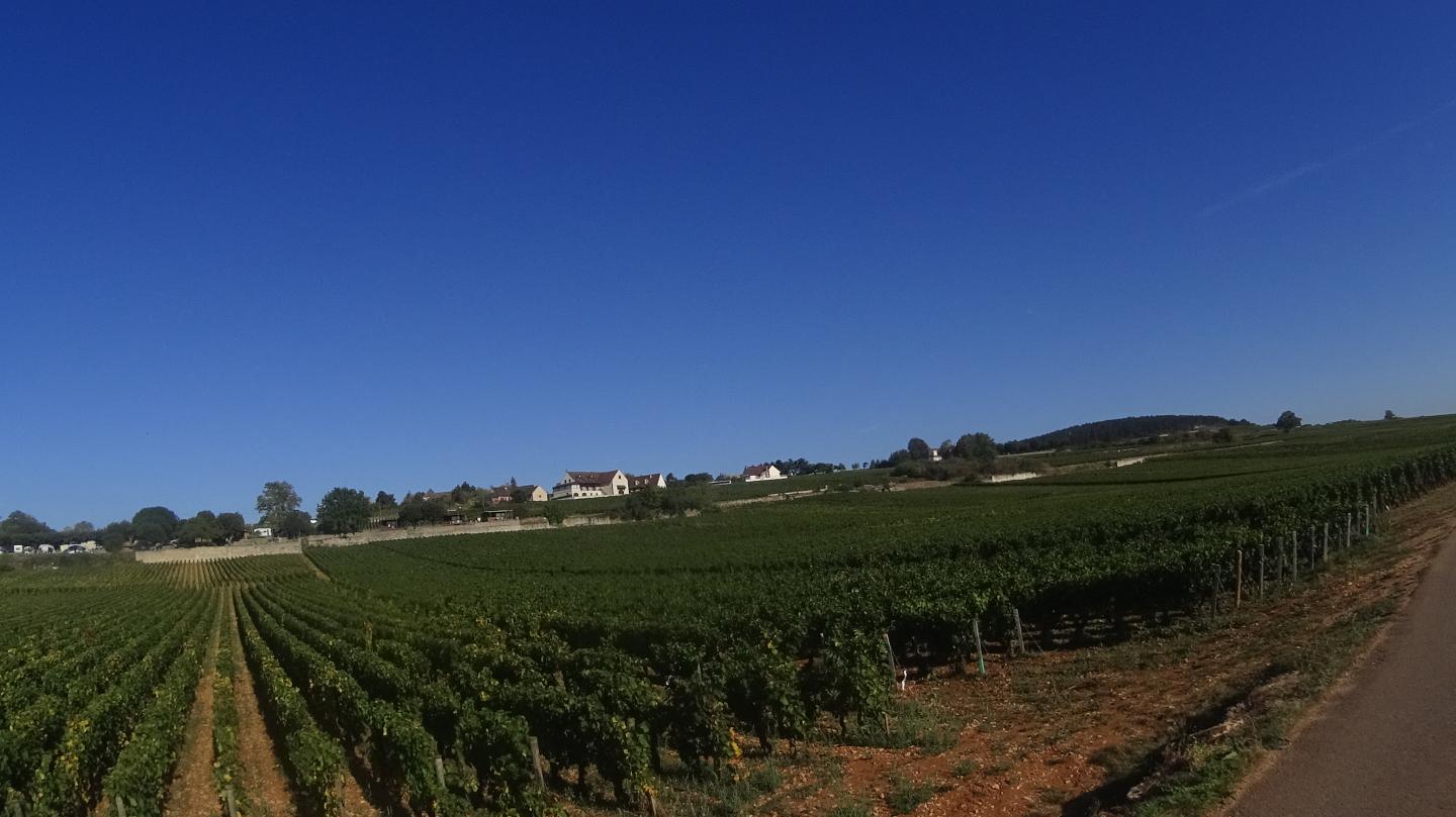 Circuit des grands crus de Bourgogne