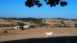Paysage du Charolais