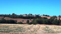 Clocher d'Uxeau