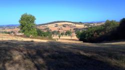 Paysage de la Bourgogne du Sud
