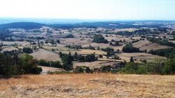 Paysage