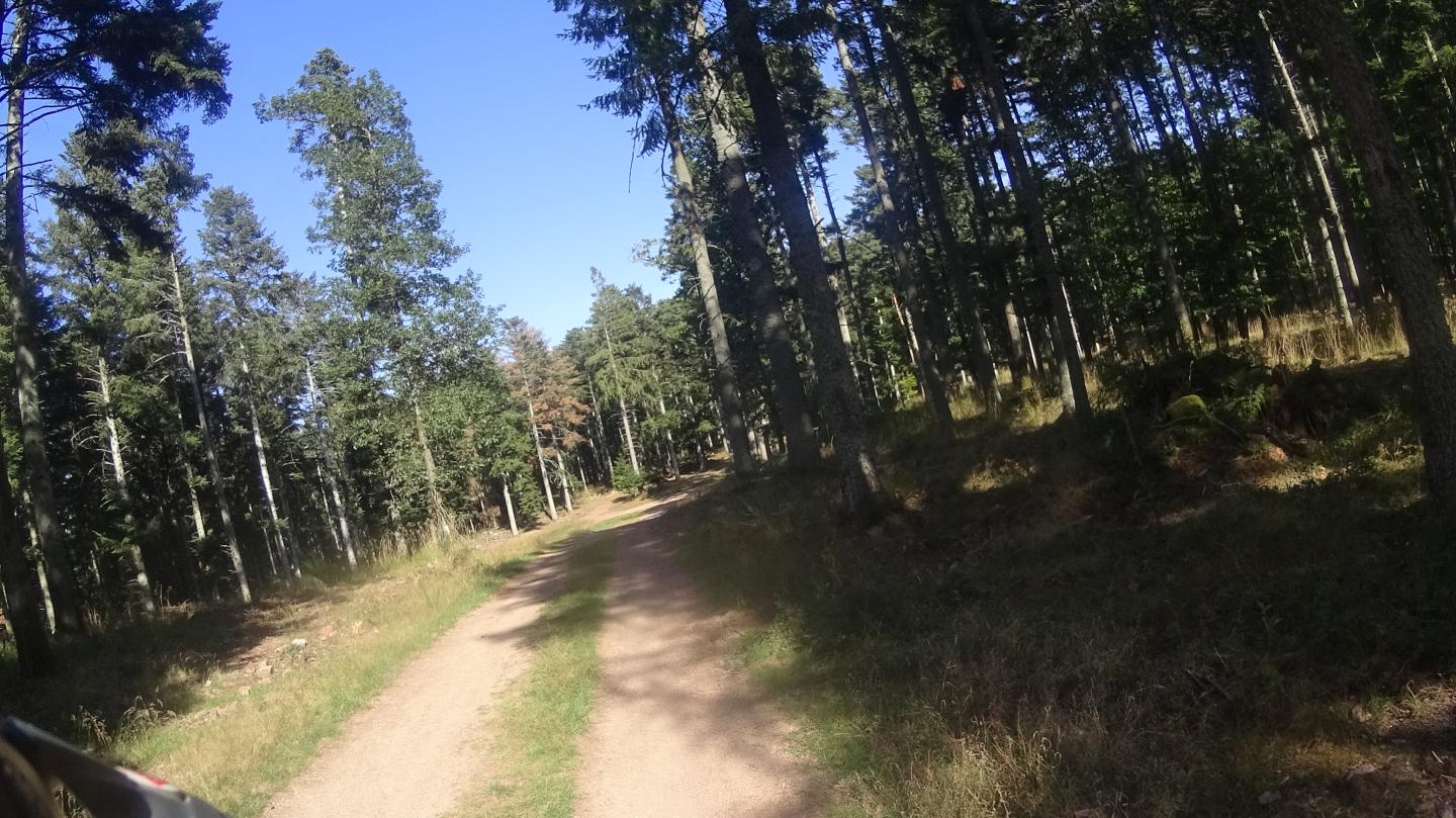 Rando des grands crus d'Alsace - 20 km