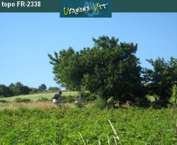En direction de Chatanay
