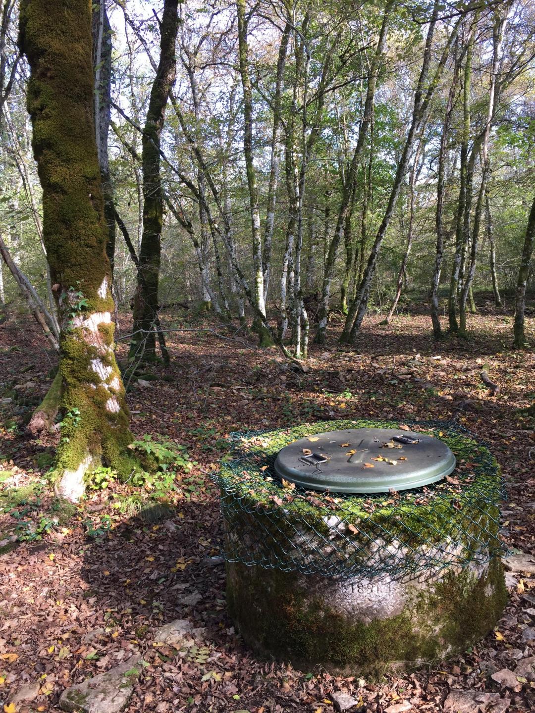 Dijon - Savigny - Etaule
