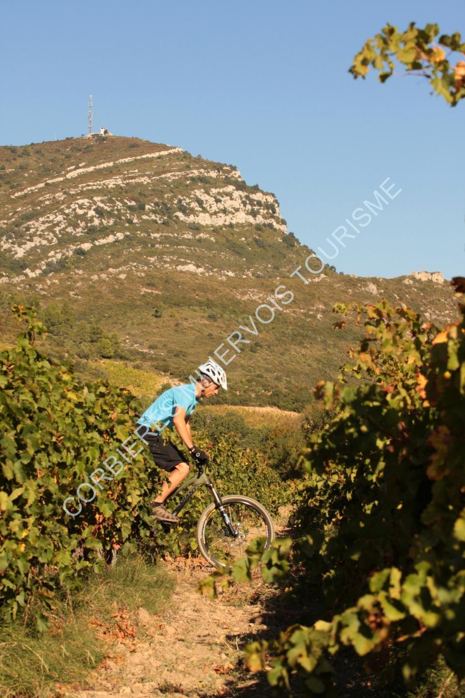 Espace VTT-FFC Corbières - Minervois - Circuit N° 1 : Du pays des bergers au pays des vignerons